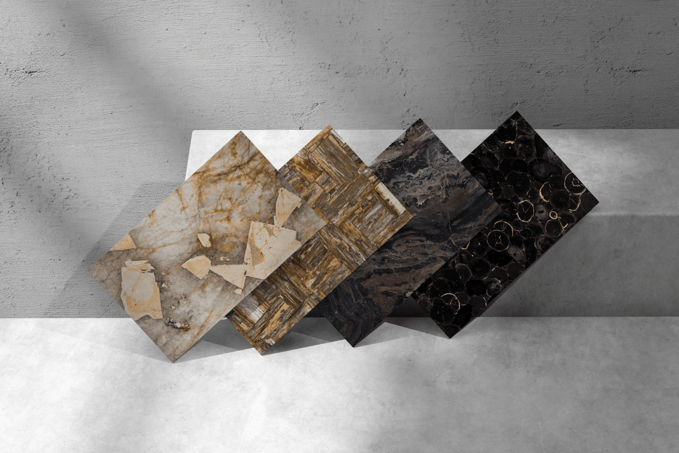 WA Quartzite & petrified wood